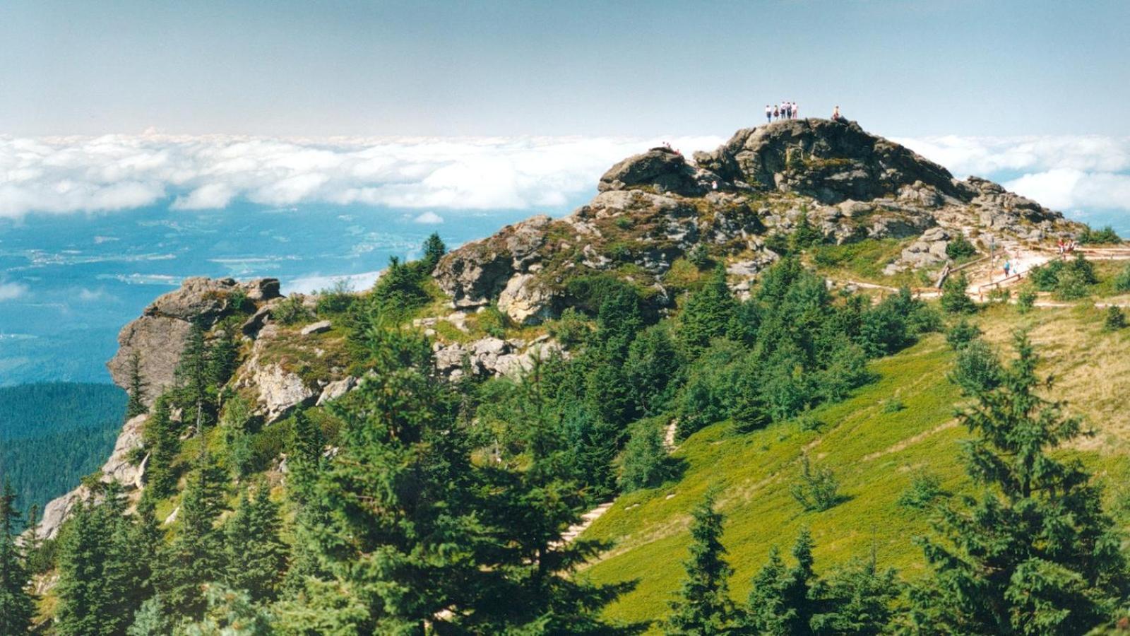 Alpenluxe Apartment *